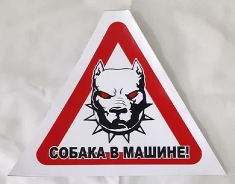 Наклейка вінілова «Собака в машині» (Пітбуль) 13х12 см